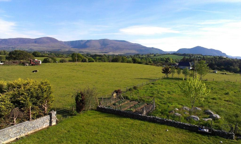Dunn Court House Bed and Breakfast Killarney Exterior foto